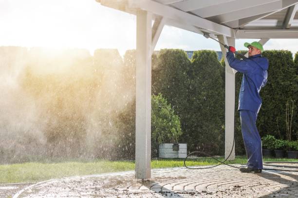 Best Rust Removal  in De Witt, NY